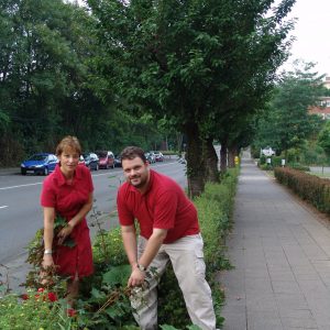 Die SPD fordert Nachpflanzungen von Japanischen Kirschbäumen auf der St. Rochus-Straße in Kaster